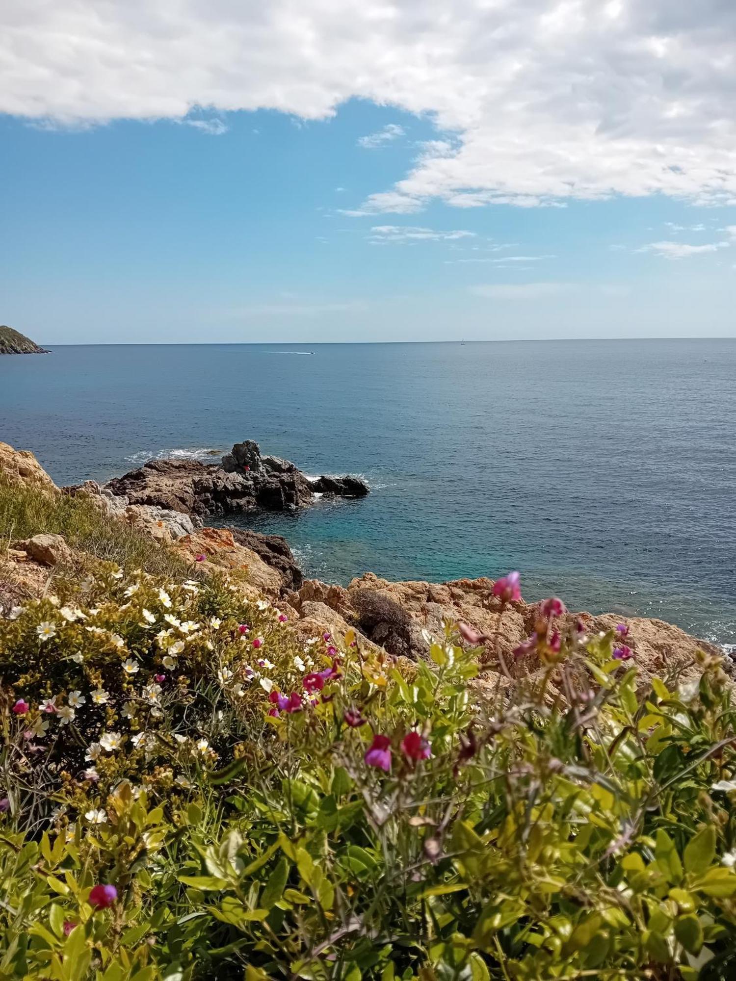 Appartement T2 A La Croix Valmer Piscine Et Tennis Εξωτερικό φωτογραφία