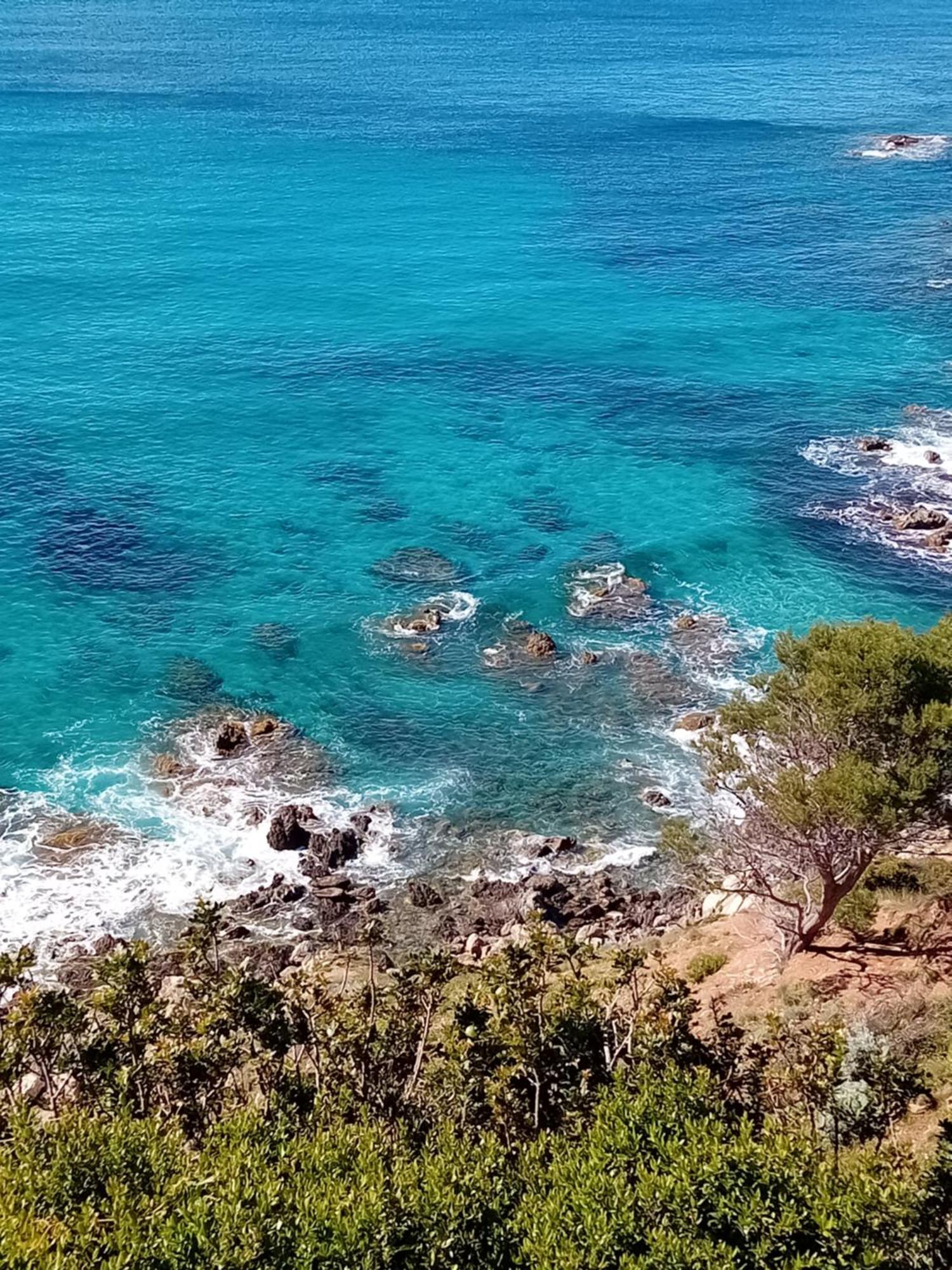 Appartement T2 A La Croix Valmer Piscine Et Tennis Εξωτερικό φωτογραφία