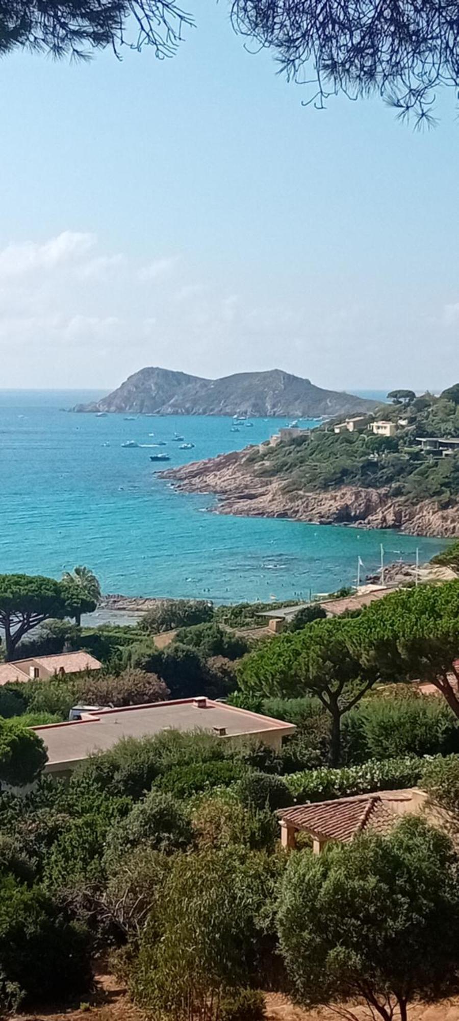 Appartement T2 A La Croix Valmer Piscine Et Tennis Εξωτερικό φωτογραφία