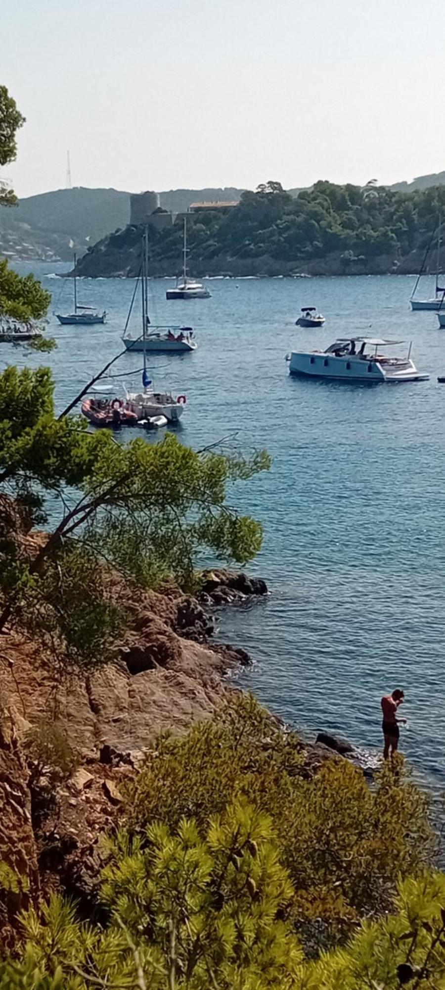 Appartement T2 A La Croix Valmer Piscine Et Tennis Εξωτερικό φωτογραφία