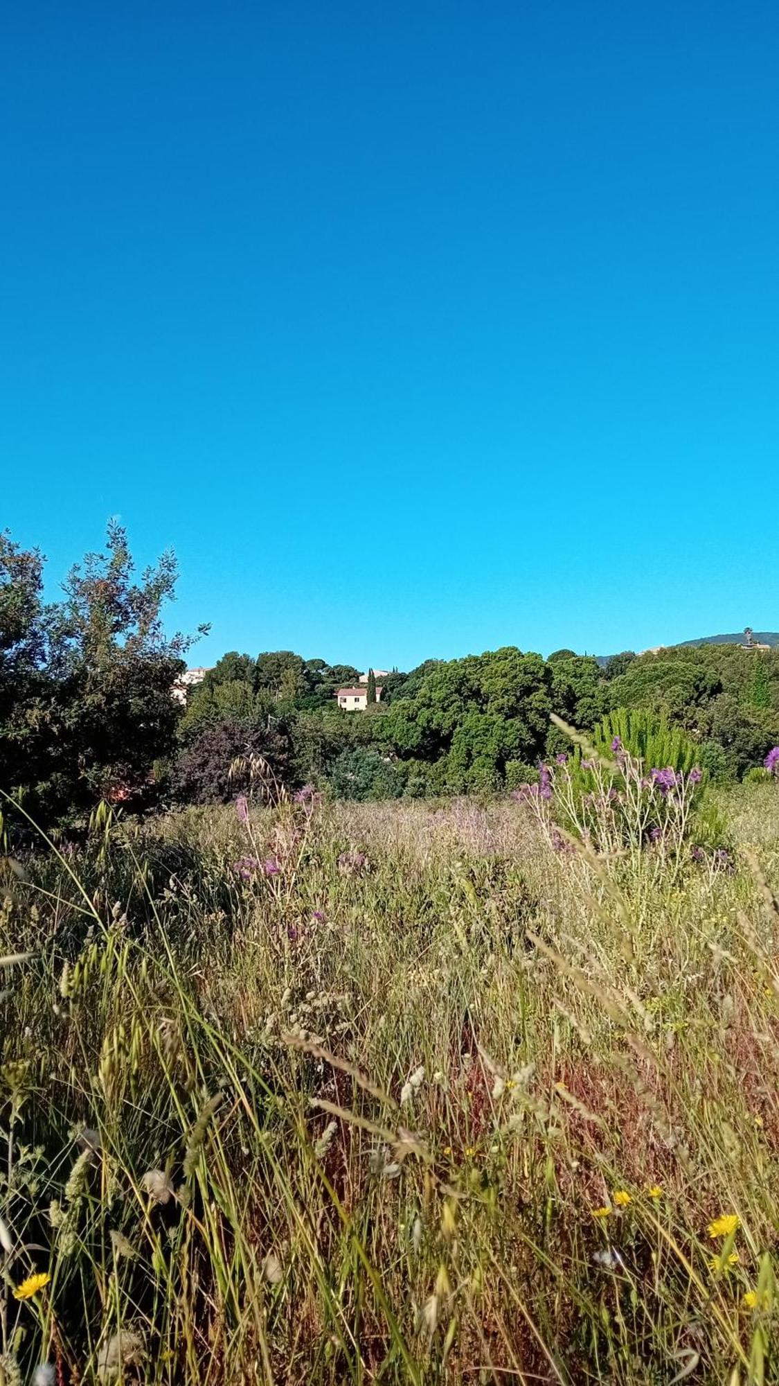 Appartement T2 A La Croix Valmer Piscine Et Tennis Εξωτερικό φωτογραφία